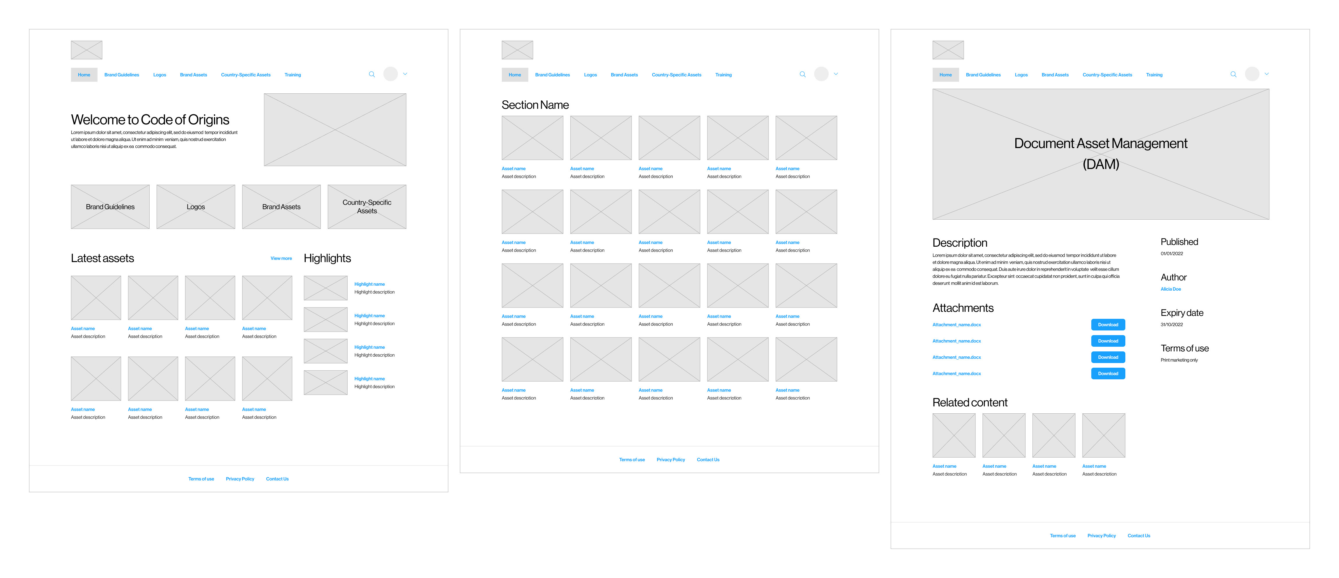 wireframes